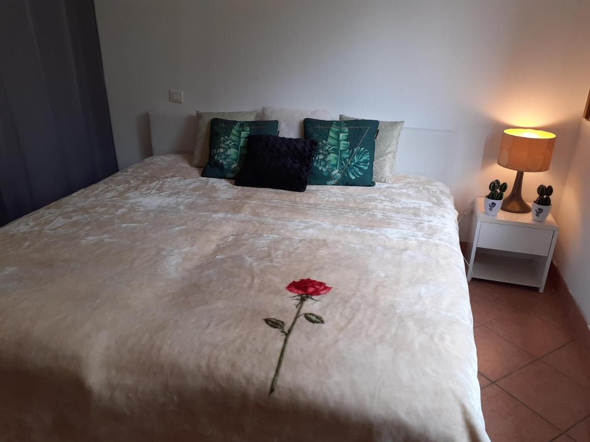 Logement Calme Et Agreable A Proximite D'Ajaccio Canale Exterior photo